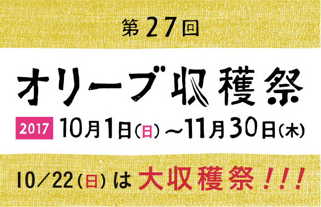 第27回 オリーブ収穫祭 第27回 オリーブ収穫祭
