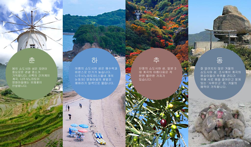 Welcome to Shodoshima